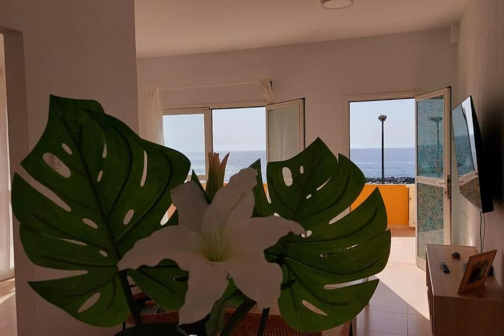 La Marea Baja Apartment Puertito de Guimar Exterior foto